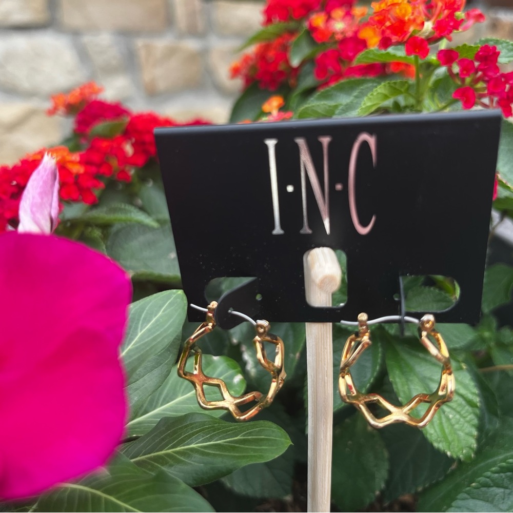 NWT INC International Concepts Hoop Earrings